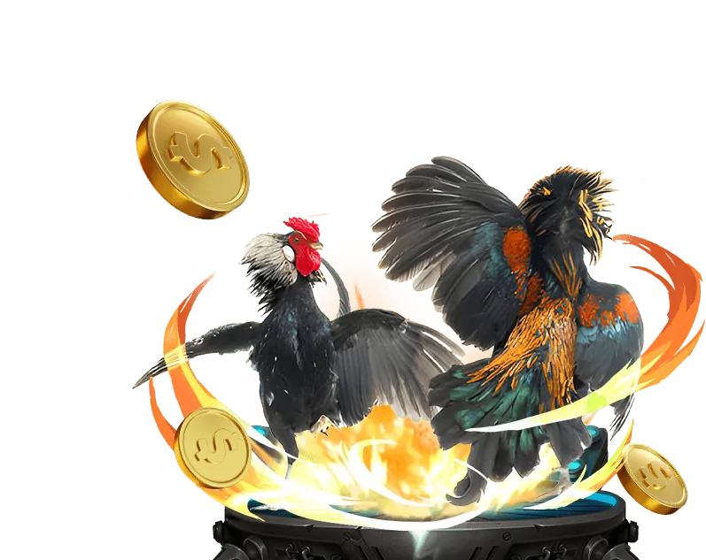 Biểu đồ minh họa các loại kèo cược phổ biến